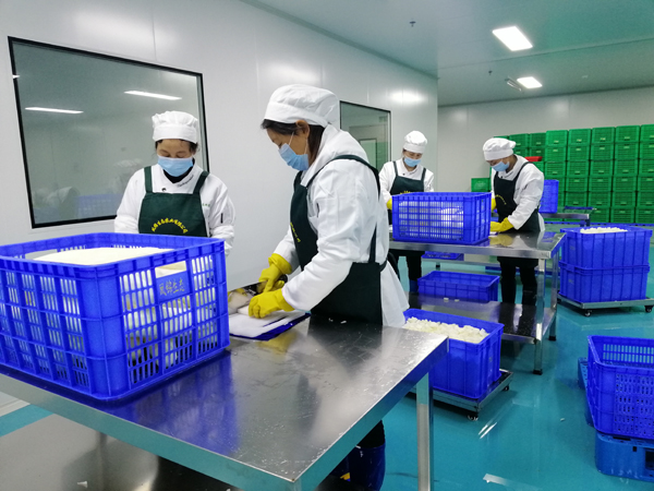 凈菜加工整套生產(chǎn)線(xiàn) 凈菜加工設(shè)備 清洗風(fēng)干切制全套設(shè)備定制